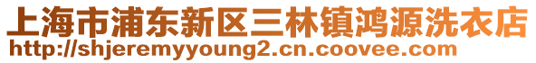 上海市浦東新區(qū)三林鎮(zhèn)鴻源洗衣店