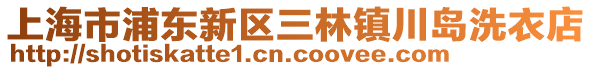 上海市浦東新區(qū)三林鎮(zhèn)川島洗衣店