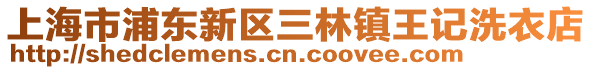 上海市浦東新區三林鎮王記洗衣店