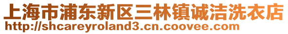 上海市浦東新區(qū)三林鎮(zhèn)誠(chéng)潔洗衣店