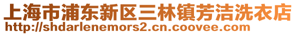 上海市浦東新區(qū)三林鎮(zhèn)芳潔洗衣店