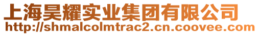 上海昊耀實(shí)業(yè)集團(tuán)有限公司