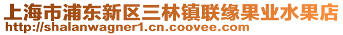 上海市浦東新區(qū)三林鎮(zhèn)聯(lián)緣果業(yè)水果店