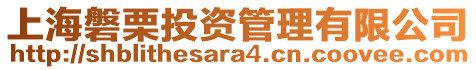 上海磐栗投資管理有限公司