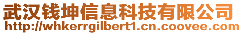 武漢錢坤信息科技有限公司