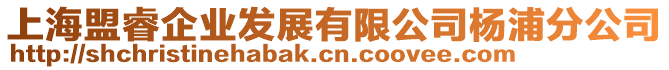 上海盟睿企業(yè)發(fā)展有限公司楊浦分公司