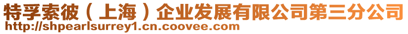 特孚索彼（上海）企業(yè)發(fā)展有限公司第三分公司