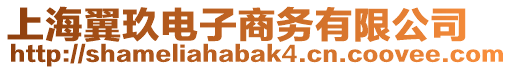 上海翼玖電子商務(wù)有限公司