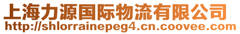 上海力源國際物流有限公司