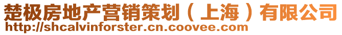 楚極房地產(chǎn)營銷策劃（上海）有限公司