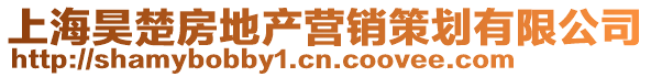 上海昊楚房地產(chǎn)營(yíng)銷策劃有限公司