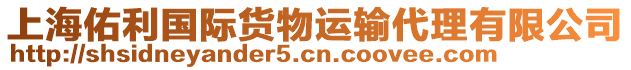 上海佑利國際貨物運(yùn)輸代理有限公司