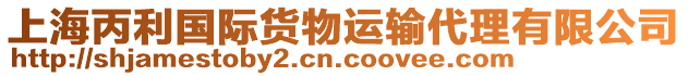 上海丙利國際貨物運輸代理有限公司