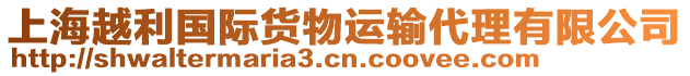 上海越利國(guó)際貨物運(yùn)輸代理有限公司