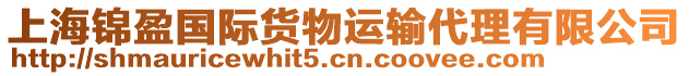 上海錦盈國(guó)際貨物運(yùn)輸代理有限公司