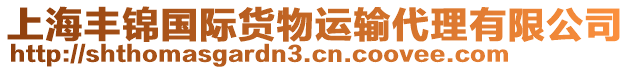 上海豐錦國際貨物運輸代理有限公司