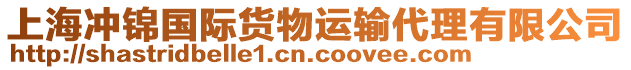 上海沖錦國際貨物運輸代理有限公司