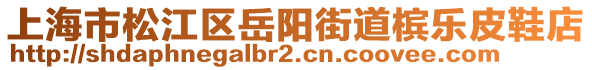 上海市松江區(qū)岳陽街道檳樂皮鞋店