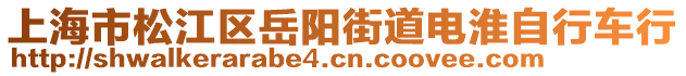 上海市松江區(qū)岳陽街道電淮自行車行