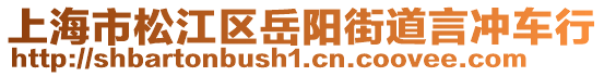 上海市松江區(qū)岳陽街道言沖車行