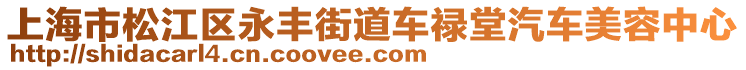 上海市松江區(qū)永豐街道車(chē)祿堂汽車(chē)美容中心