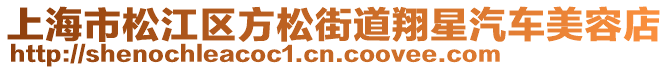 上海市松江區(qū)方松街道翔星汽車美容店