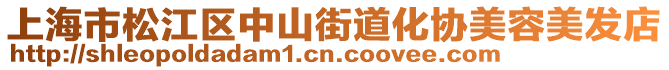 上海市松江區(qū)中山街道化協(xié)美容美發(fā)店