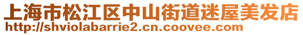 上海市松江區(qū)中山街道迷屋美發(fā)店