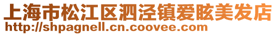 上海市松江區(qū)泗涇鎮(zhèn)愛眩美發(fā)店