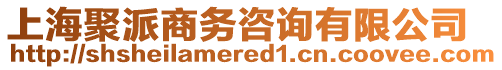 上海聚派商務(wù)咨詢有限公司