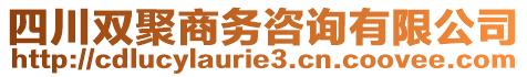 四川雙聚商務(wù)咨詢有限公司