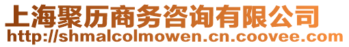 上海聚歷商務咨詢有限公司
