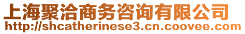 上海聚洽商務(wù)咨詢有限公司