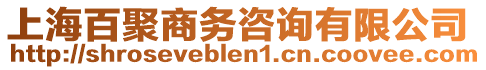 上海百聚商務(wù)咨詢有限公司