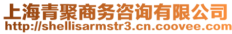 上海青聚商務咨詢有限公司
