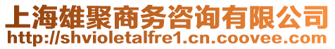 上海雄聚商務(wù)咨詢有限公司