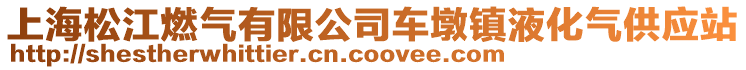 上海松江燃氣有限公司車墩鎮液化氣供應站