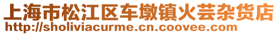 上海市松江區(qū)車墩鎮(zhèn)火蕓雜貨店