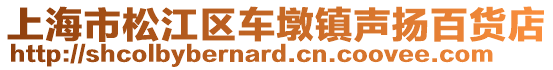 上海市松江區車墩鎮聲揚百貨店