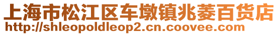 上海市松江區(qū)車墩鎮(zhèn)兆菱百貨店