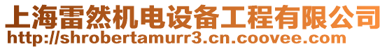 上海雷然機(jī)電設(shè)備工程有限公司