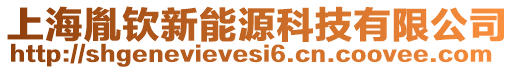 上海胤欽新能源科技有限公司