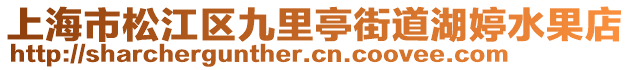 上海市松江區(qū)九里亭街道湖婷水果店