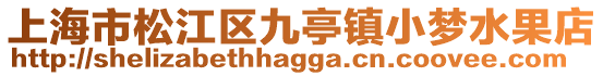 上海市松江區(qū)九亭鎮(zhèn)小夢水果店