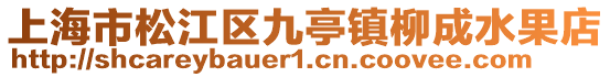 上海市松江區(qū)九亭鎮(zhèn)柳成水果店