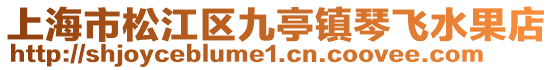 上海市松江區(qū)九亭鎮(zhèn)琴飛水果店