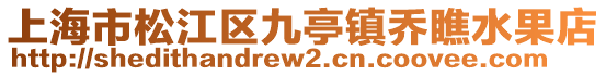 上海市松江區(qū)九亭鎮(zhèn)喬瞧水果店