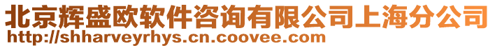 北京輝盛歐軟件咨詢有限公司上海分公司