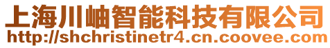 上海川岫智能科技有限公司