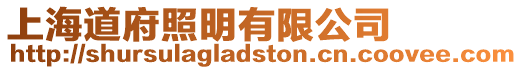 上海道府照明有限公司